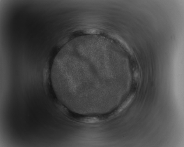 X0000087570322200705181147