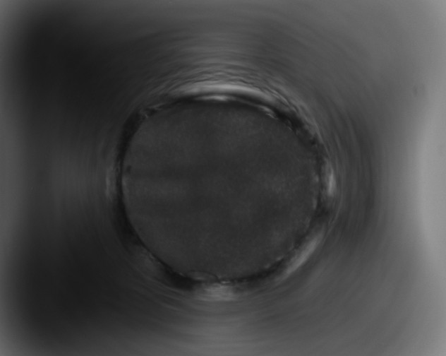 X0000087570325200705181147