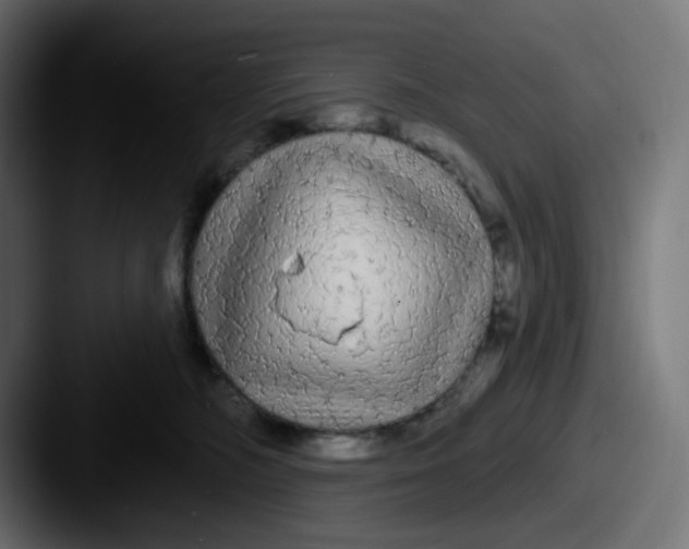 X0000087570326200705181147