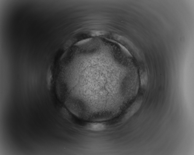 X0000087570327200705181147