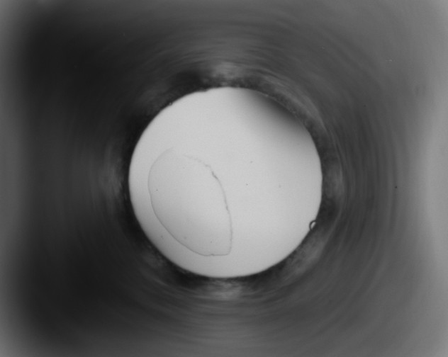 X0000087570328200705181147