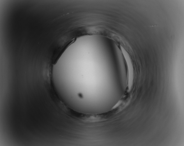 X0000087570329200705181147