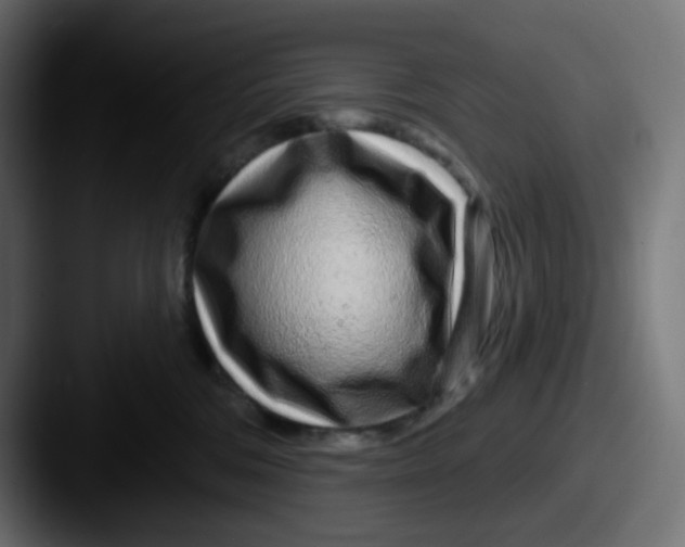 X0000087570330200705181147