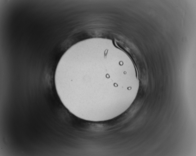 X0000087570332200705181147