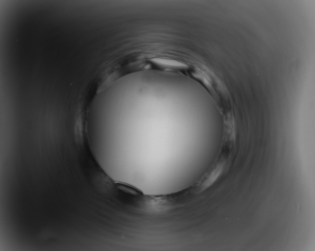 X0000087570333200705181147