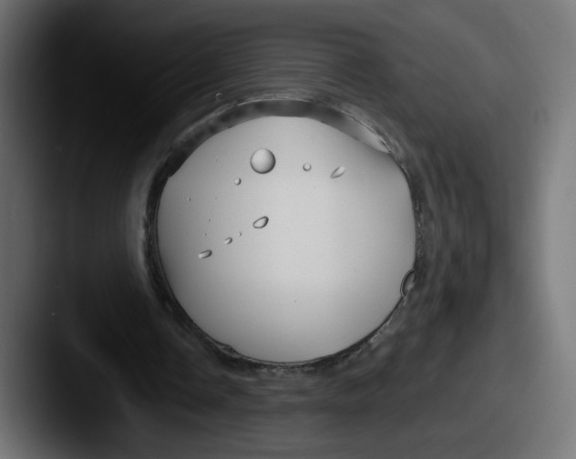 X0000087570338200705181146