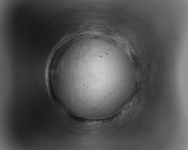 X0000087570340200705181146