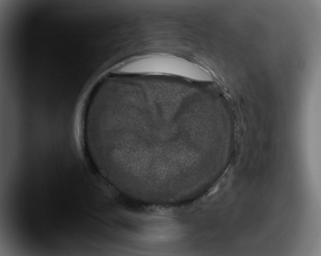 X0000087570343200705181146