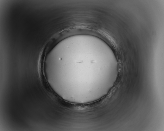 X0000087570346200705181146