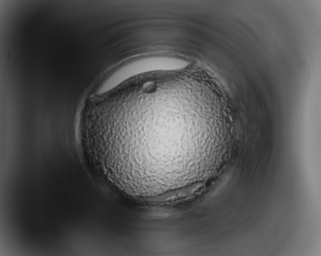 X0000087570347200705181146