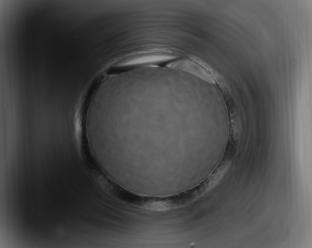 X0000087570350200705181147