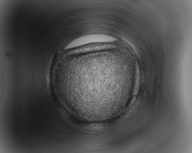 X0000087570353200705181147