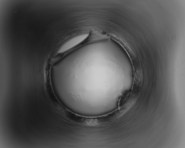 X0000087570355200705181147