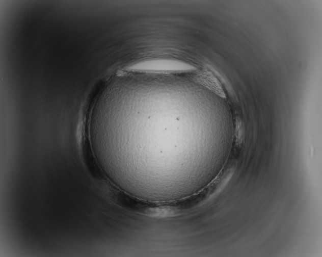 X0000087570356200705181147