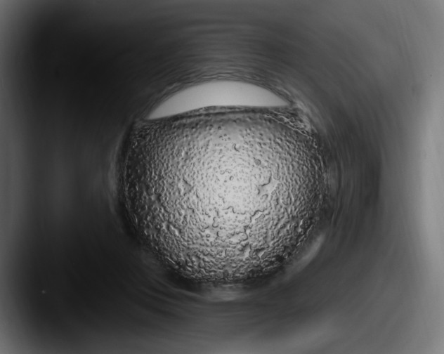 X0000087570359200705181147