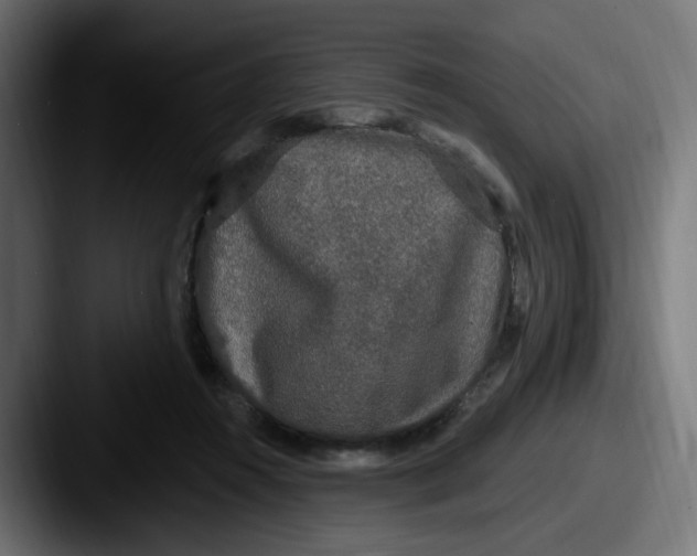 X0000087570360200705181147