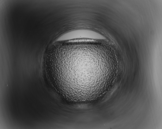 X0000087570361200705181147