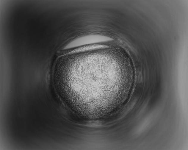 X0000087570363200705181147