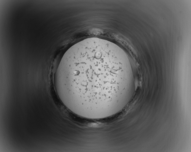 X0000087570364200705181147