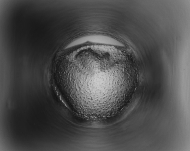 X0000087570365200705181147