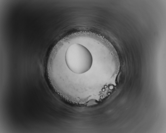 X0000087570370200705181147