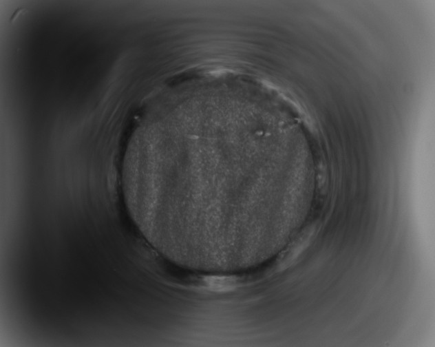 X0000087570371200705181147