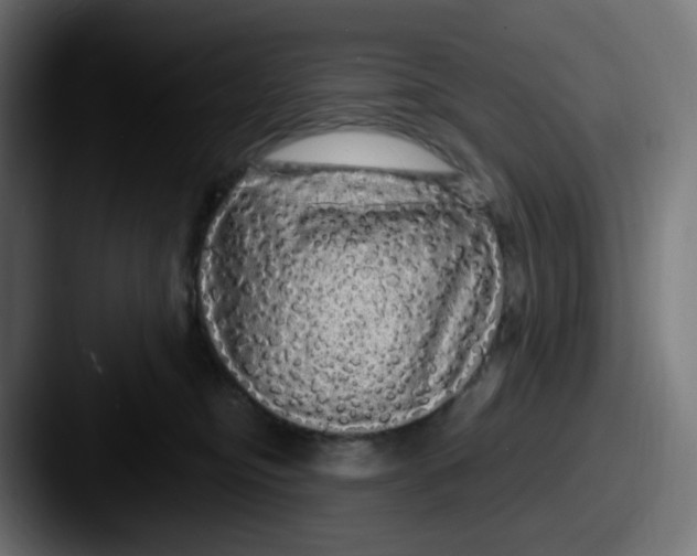 X0000087570374200705181147