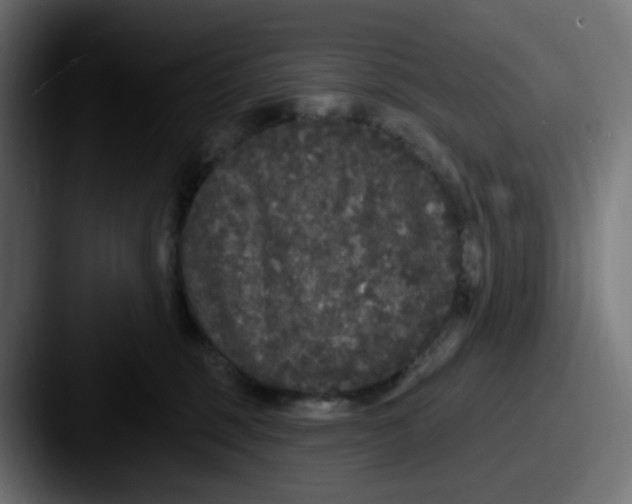 X0000087570375200705181147