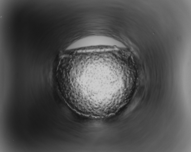 X0000087570377200705181147