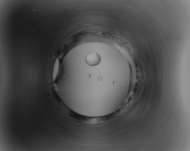 X0000087570382200705181147