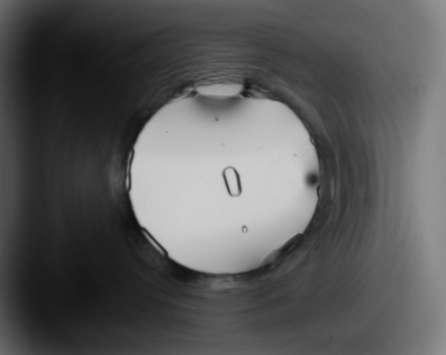 X0000087570384200705181147