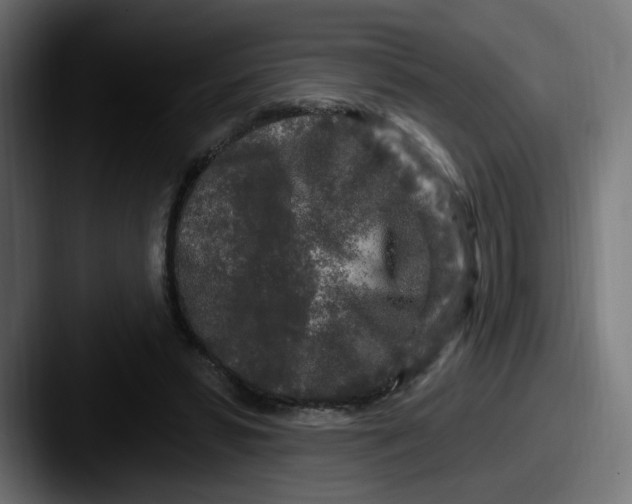 X0000087570399200705181146