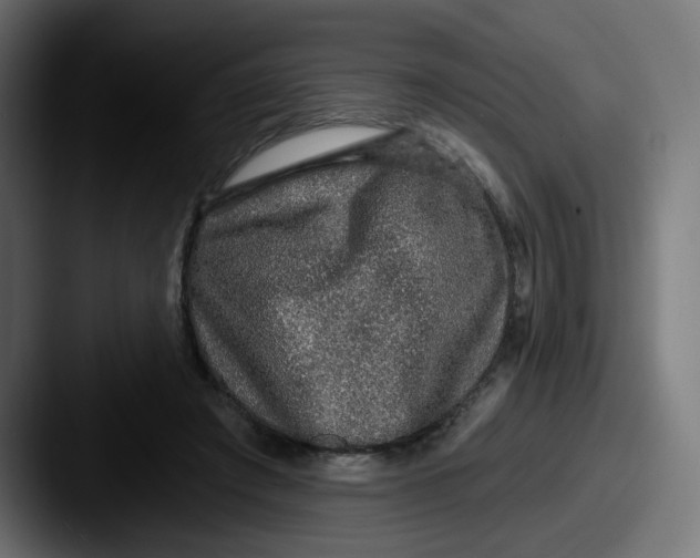 X0000087570401200705181146