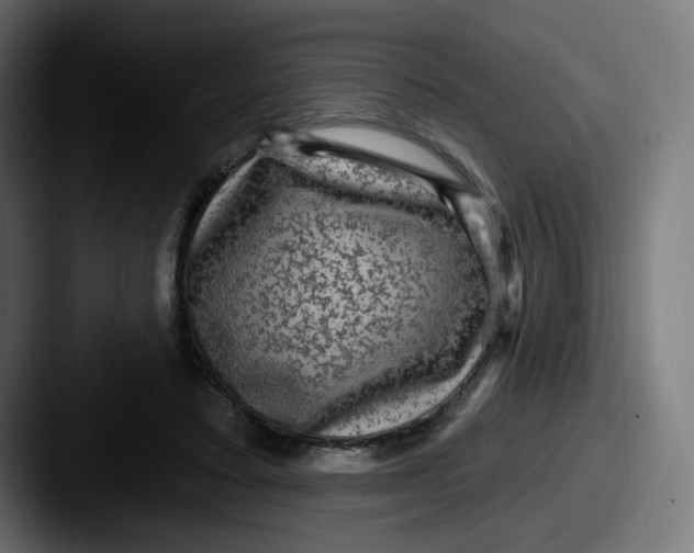 X0000087570403200705181146