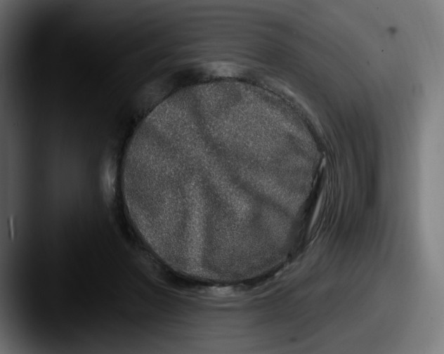 X0000087570406200705181146