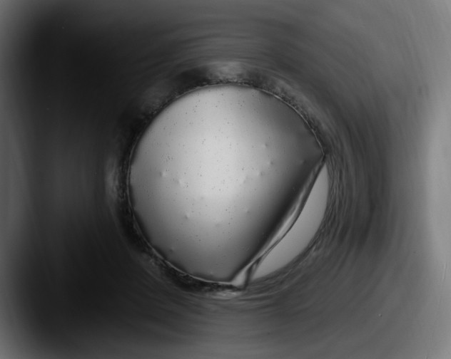 X0000087570408200705181146