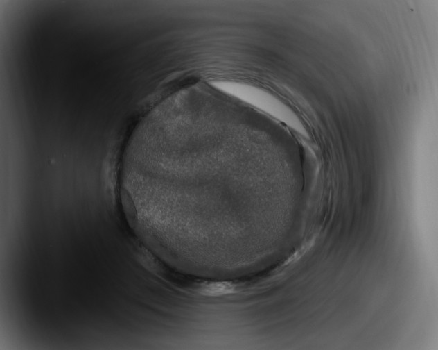 X0000087570409200705181146