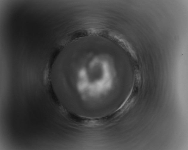 X0000087570419200705181146