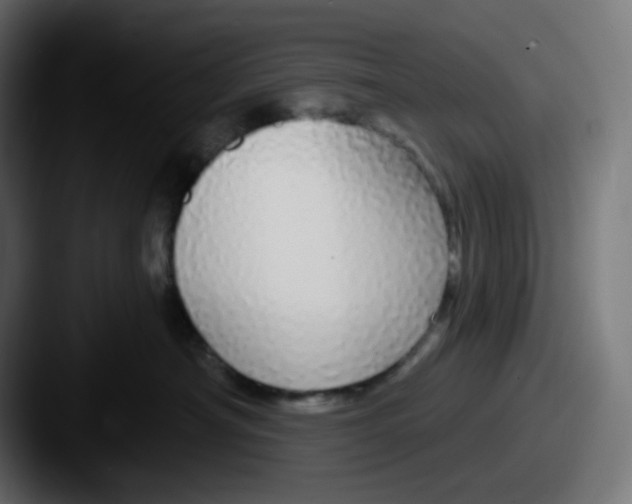 X0000087570430200705181146