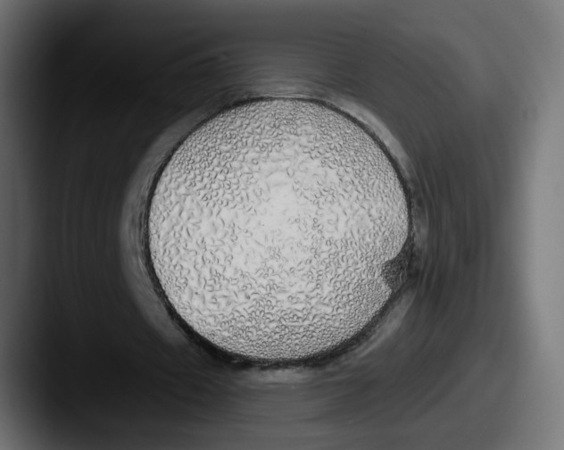 X0000087570433200705181145