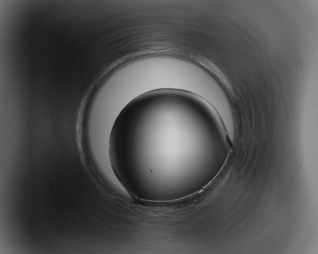 X0000087570436200705181145