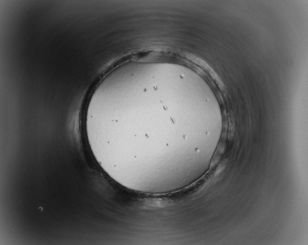 X0000087570439200705181145