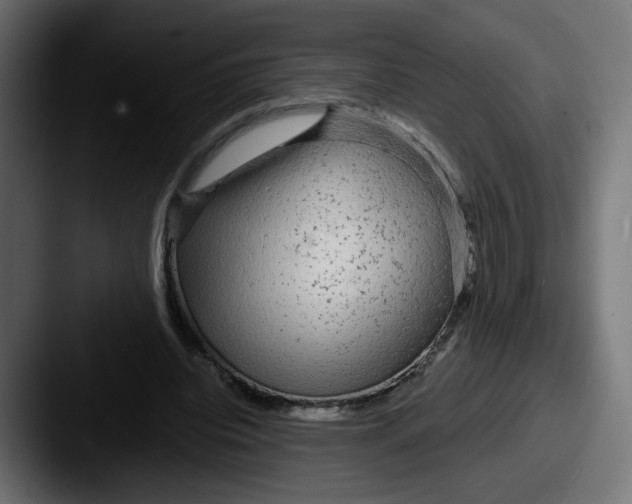 X0000087570440200705181145