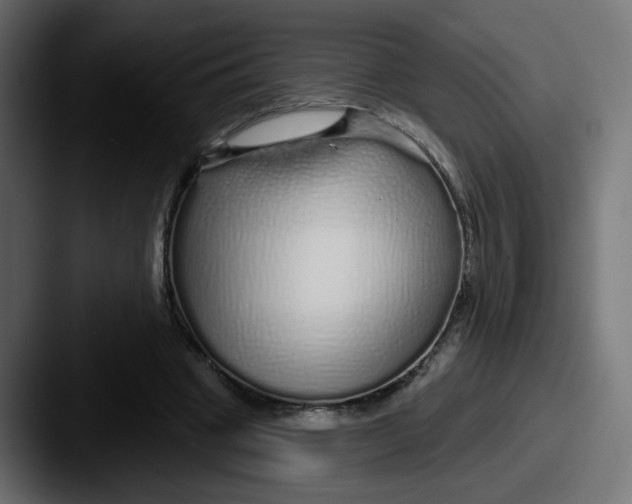 X0000087570441200705181145