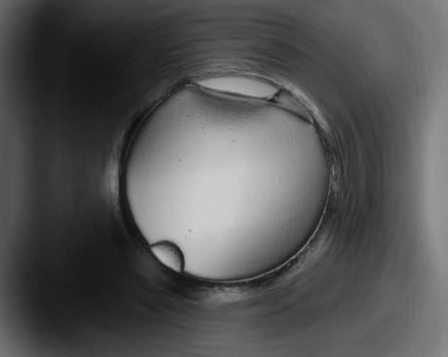 X0000087570445200705181145