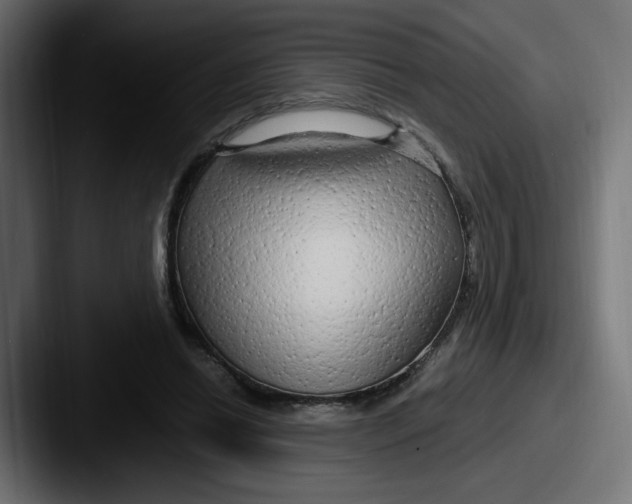 X0000087570446200705181145