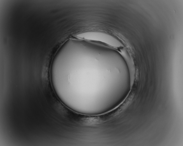 X0000087570449200705181145