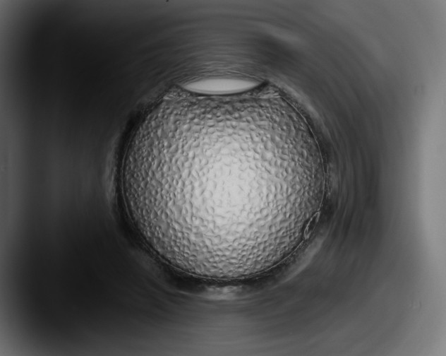 X0000087570450200705181145