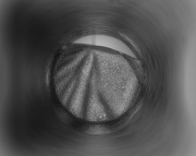 X0000087570451200705181145