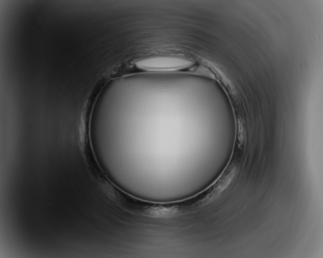 X0000087570453200705181145